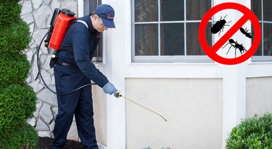 Seydiler Hamam Böceği İlaçlama böcek ilaçlama ve haşere kontrolü — ilaclama-tr.com